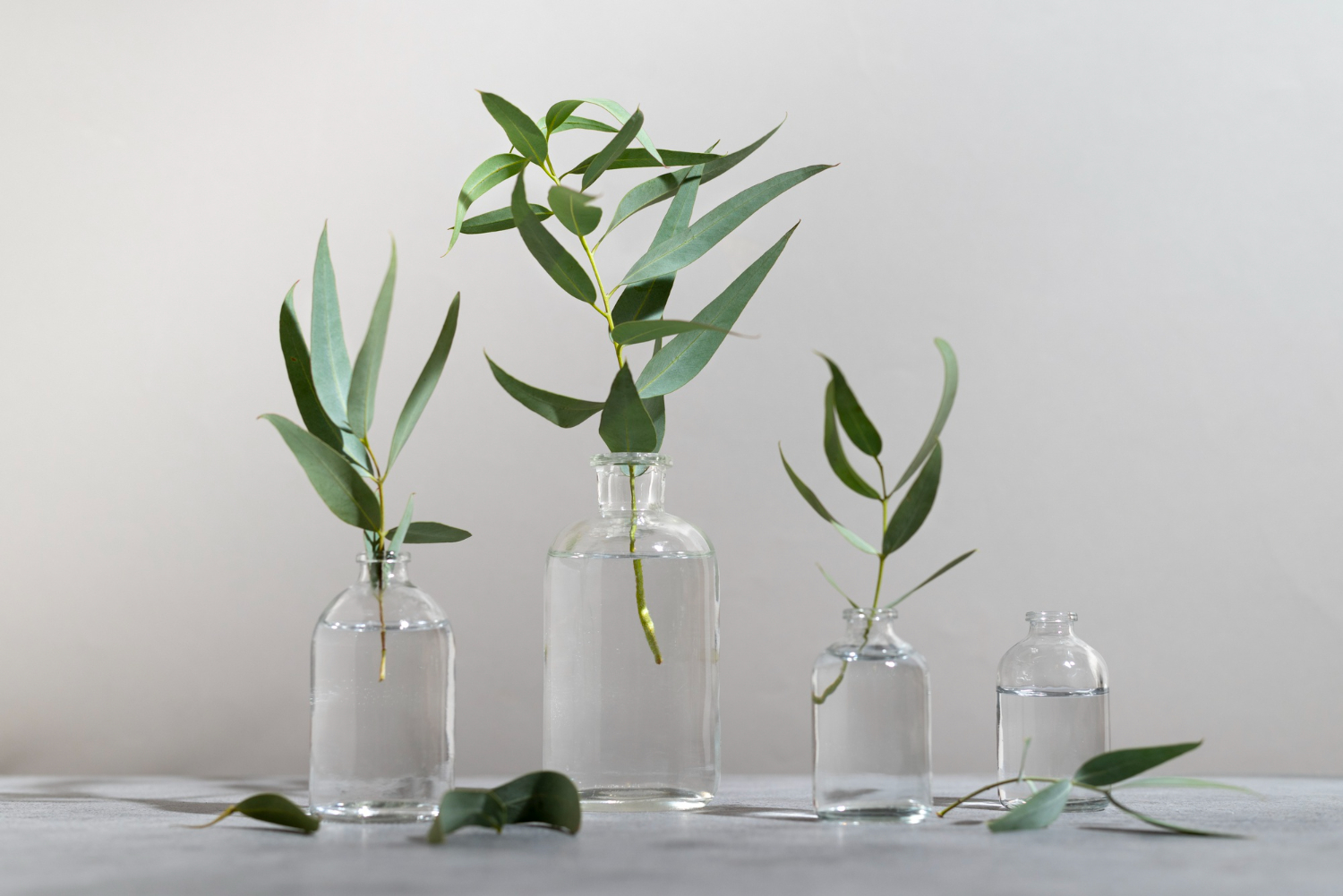 Eucalyptus leaves arranged in clear bottles for natural air care products